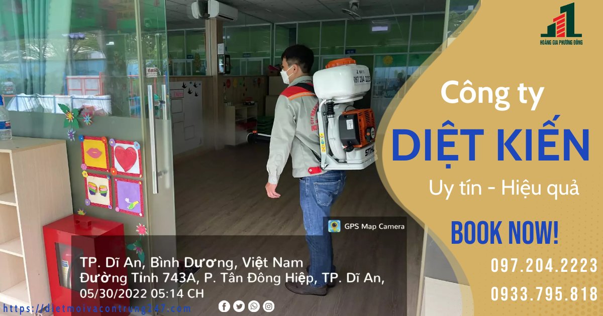 CÔNG TY DIỆT KIẾN UY TÍN